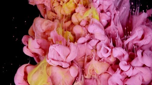 Abstract Pink and Yellow Ink Plumes on Black
