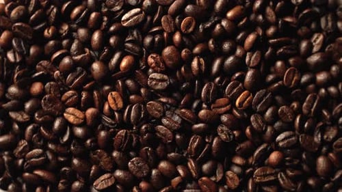 Close-Up View of Roasted Coffee Beans
