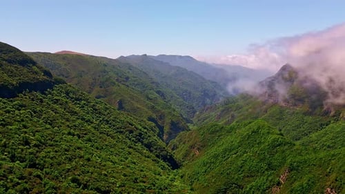 Aerial View Green Hillsides Covered Forests Scenic Panorama Mountains Hills