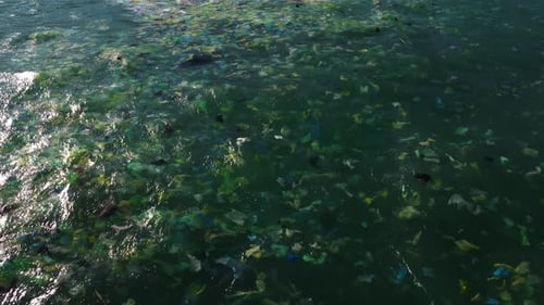 Eine Nahaufnahme auf dem dreckigen Meerwasser: Unzählige Plastikmüll schwimmen dicht an der Oberfläche.