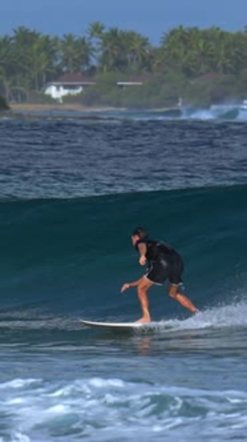 Man Surfing a Wave near Tropical Beach