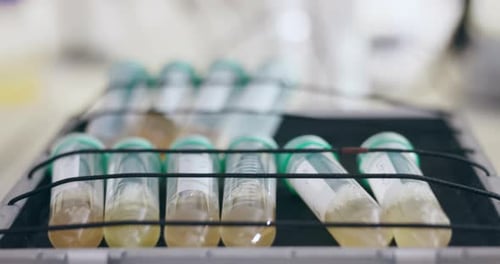 Close Up of Test Tubes in a Laboratory