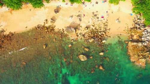 Travelers sunbathing on beach against sea in summer