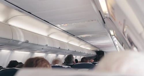 Flight, airplane and people or passenger for travel, trip and tour to tourist destination