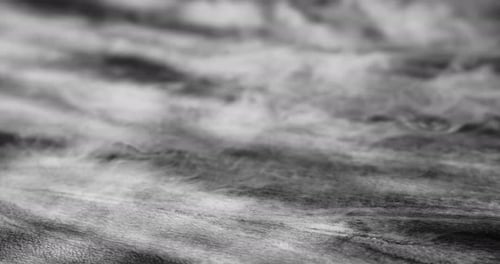 Black and White Wood Texture With Smoke and Shadows