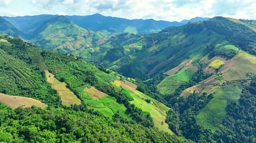 Aerial view of deforestation on mountain slopes for agriculture.