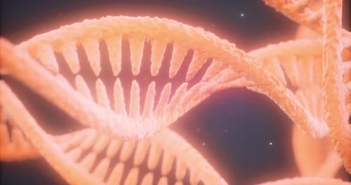 Exploring the Intricacies of DNA Strands in a Vibrant Cosmic Environment