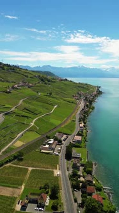 Lake Geneva shore Lavaux vineyards terrace in Switzerland World Heritage site aerial drone