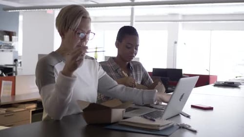 Two Female Colleagues Eating Lunch in Office Adult