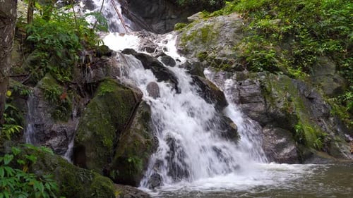 Mittlere Aufnahme eines Wasserfalls, der aus dem grünen Dschungel in einen kleinen Teich fällt
