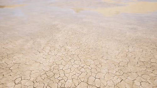 Moving Through the Rain in the Desert