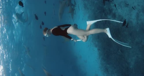 Attractive Woman Freediver Glides and Enjoying Underwater with Nurse Sharks in Blue Ocean in