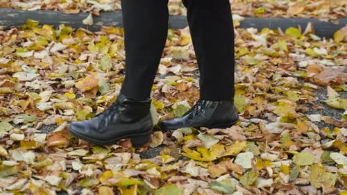 Legs of Woman in Black are Walking Along Park Path with Yellow Autumn Leaves