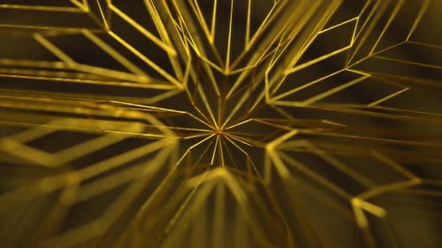 Abstrakte Goldlinie Hintergrund