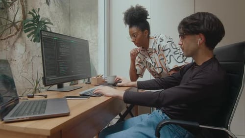 Two Coworkers Discussing Program Code on Computer
