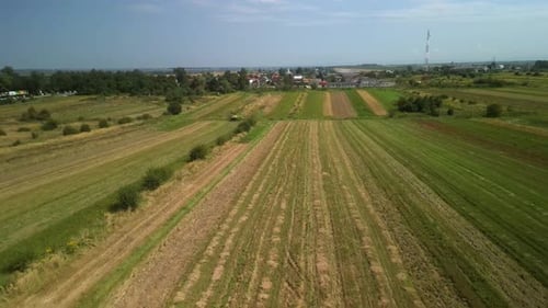 Wheat field aerial view in Ukraine