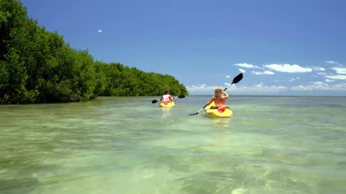 Couple kayaking turquoise waters off tropical island paradise in the bahamas