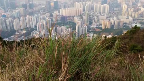 View of Hong Kong from Kowloon Peak, residential buildings on a polluted day