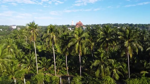 Beautifull orange temple Chùa Thiện Quang build between palm trees in Vietnam on a sunny day. Drone