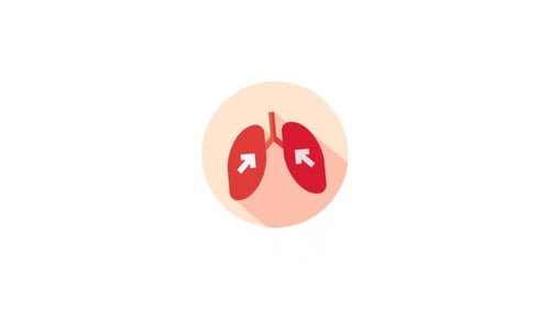 Medical Lungs Icon Animation in Flat Design Style