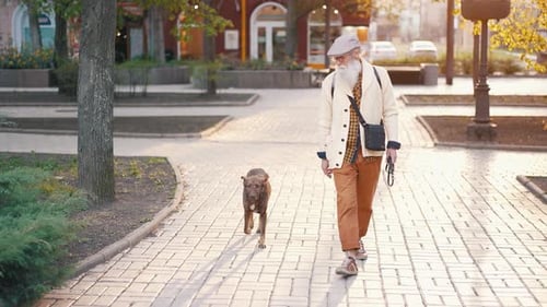 Senior Man Walking Dog in City Park