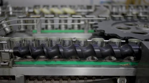 Line production of canned fish factory.