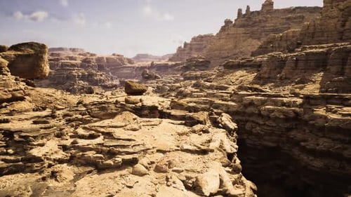 Geological History Revealed Canyon Strata and Fossils Showcase History