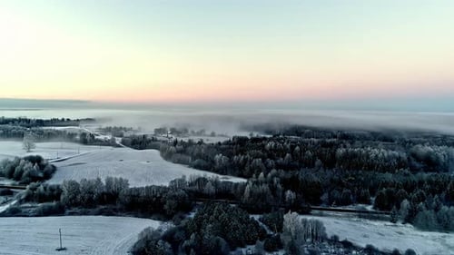 Flying over a rural winter, snowy landscape with low-lying fog in the frosty evergreen forest
