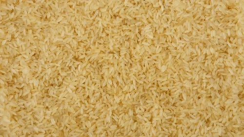 Rice Closeup View