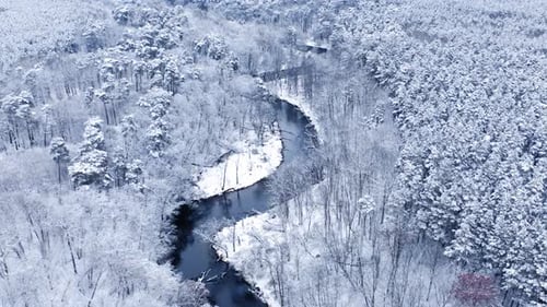 Snowy forest and small river in winter.