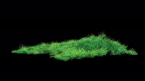 Grass Wind Loop on Alpha 4K.