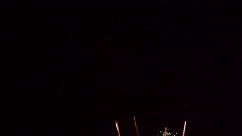 Fireworks Explode in the Night Sky