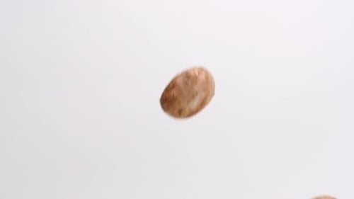 Whole mushrooms falling in slow motion on white studio backdrop in 4k