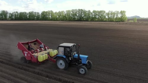 Tractor With Potato Planter In The Field