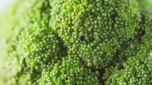 Macro footage of fresh broccoli. Close-up view of green cabbage