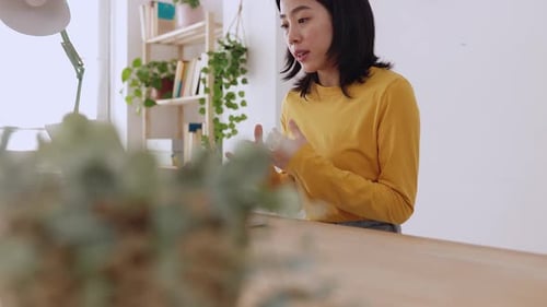 Woman on Laptop Video Call Indoors