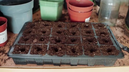 Hands Planting Seeds Into A Modular Seed Tray - Close Up