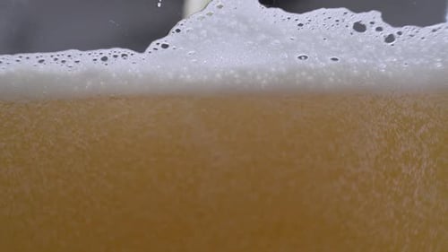 Close-Up Shot of Beer Bubbles