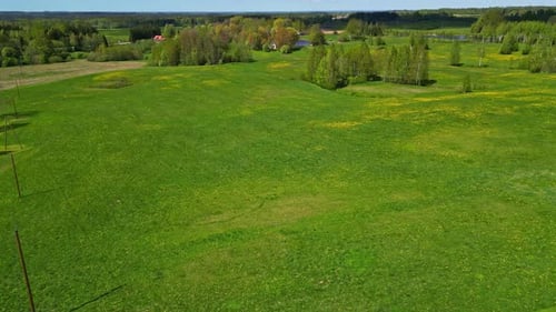 Aerial drone shot of a green meadow in an isolated rural environment