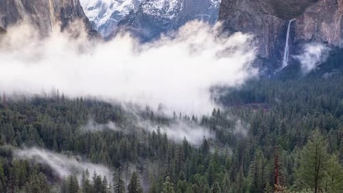 Fog in Yosemite Valley at Dawn