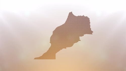 Digital Grid Map Reveal Animation