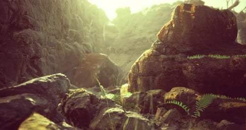 Exploring a Serene Rocky Landscape with Lush Green Vegetation at Sunrise