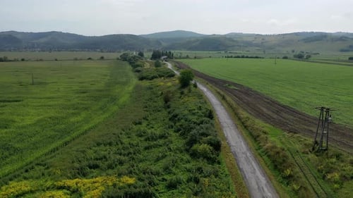 Survol d'une route sinueuse dans la forêt bordée d'arbres des deux côtés en Hongrie.