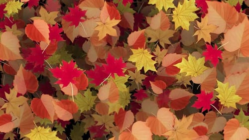 Animated Autumn Leaves Falling Transition