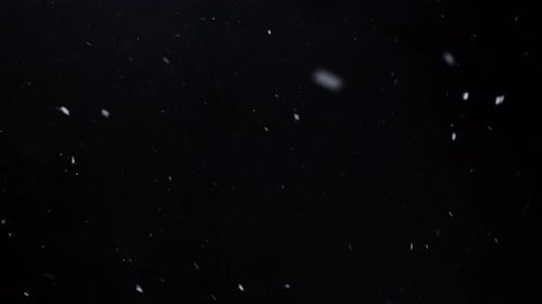 Atmospheric Snowfall on Black Background Animation