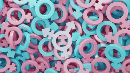 Animated Gender Diversity Symbols with Transgender Reveal