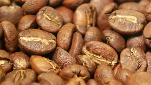 Close Up Footage of Medium Roasted Coffee Beans