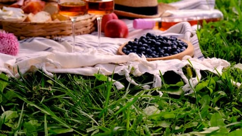 Beautiful Picnic in Sunny Green Field