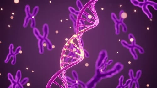 Rotating DNA Double Helix with Chromosomes Science Background