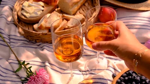 Picnic Set Up and Wine Toast in Summer